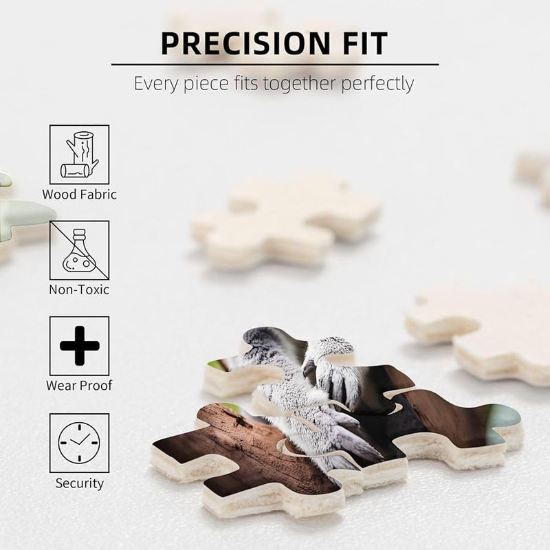 لغز بانيا كوالا 500 قطعة للكبار هدية ديكور منزلي 20.4 × 15 - Image 5